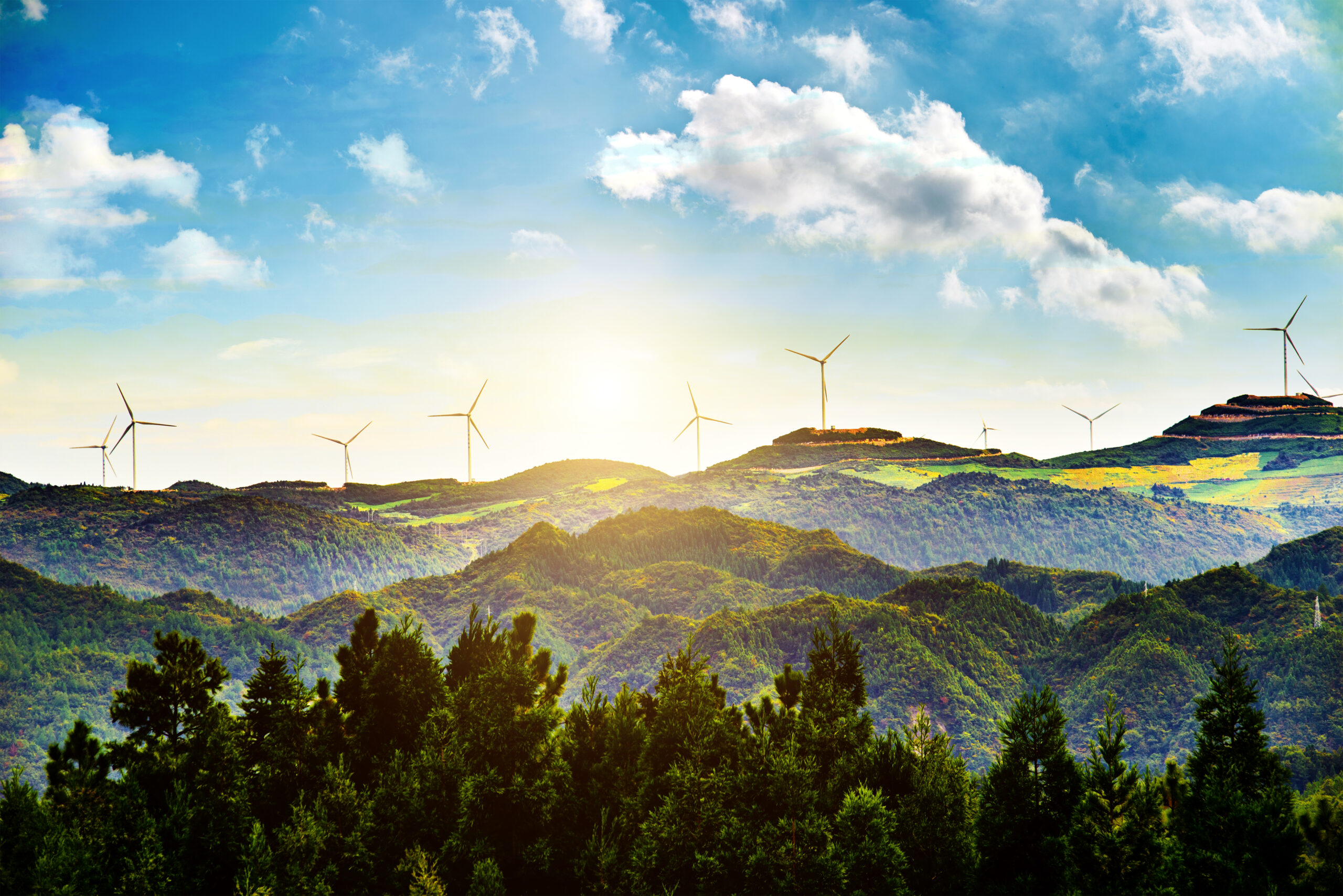 Sustainability Services